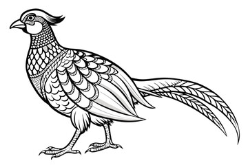 coloring page line art the pheasant black vector