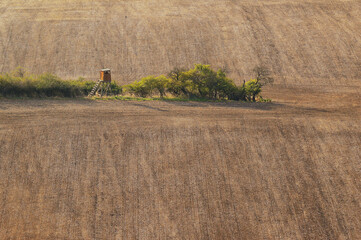 Geometric Field Lines and Isolated Hunting Tower in Czech Countryside
