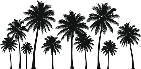 Fototapeta premium Silhouetted palm trees against a tropical sky evoke summer beach vacations and island nature