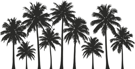Silhouetted palm trees against a tropical sky evoke summer beach vacations and island nature