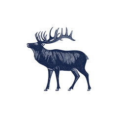 Intricate vector illustration of an elegant deer with large, detailed antlers, a side profile. The vintage style depiction highlights the grace and majesty of the deer.  Engraved stamp woodcut vintage