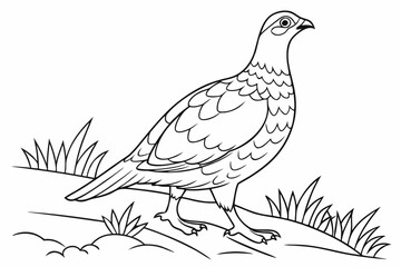 coloring page line art the grouse black vector