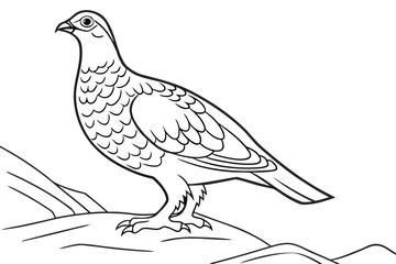coloring page line art the grouse black vector