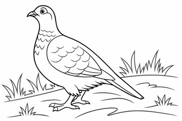 coloring page line art the grouse black vector