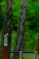A bottle of clean, refreshing water is carefully balanced and sitting on top of a sturdy wooden...
