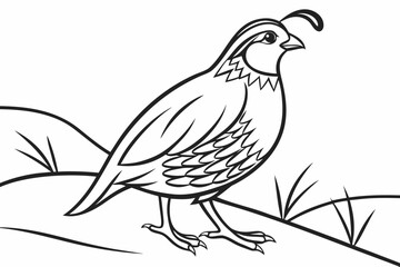 Fototapeta premium coloring page line art the quail black vector