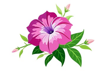 Obraz premium Watercolor Painting Of A Flowering Petunia illustration on white background