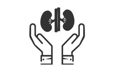 Two hand protecting kidney image, png protecting hands of a kidney