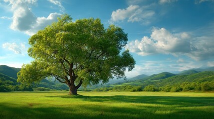 Fototapeta premium A solitary tree stands proudly in a vast landscape, with a vibrant green field under a beautiful blue sky
