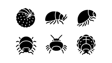 Assortment of Six pill bug Insect Silhouettes in a minimalist style