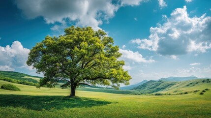 Obraz premium A solitary tree stands proudly in a vast landscape, with a vibrant green field under a beautiful blue sky