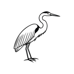 A heron line art silhouette vector illustration on white background