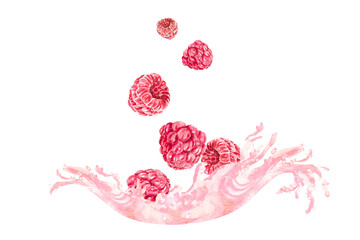 Raspberry juicy ripe berry with green leaves on a branch. Watercolor illustration, hand drawn. Bright watercolor illustration with raspberries for design