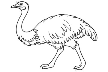 coloring page line art the emu bird black vector