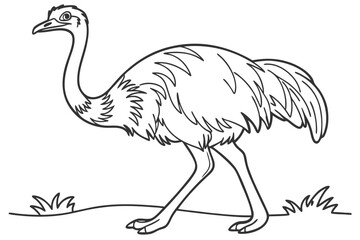 coloring page line art the emu bird black vector