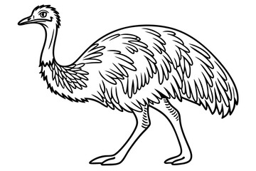 coloring page line art the emu bird black vector