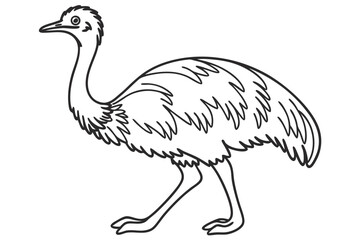 coloring page line art the emu bird black vector