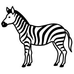 Detailed line art of a zebra illustrating stripe patterns