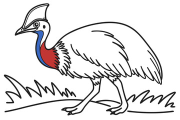 Fototapeta premium coloring page line art the cassowary bird black vector