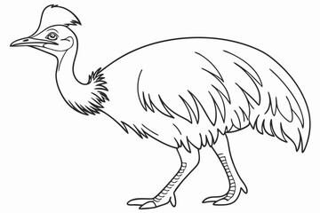 Fototapeta premium coloring page line art the cassowary bird black vector