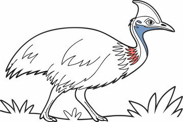 coloring page line art the cassowary bird black vector