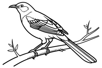 coloring page line art the mockingbird black vector