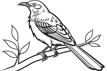 coloring page line art the mockingbird black vector