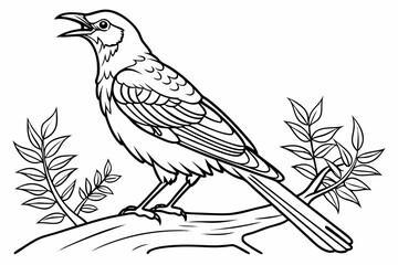 coloring page line art the mockingbird black vector