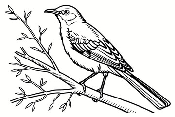 coloring page line art the mockingbird black vector