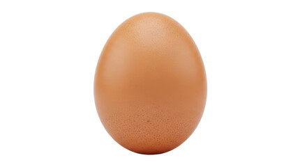 Isolated Brown Egg