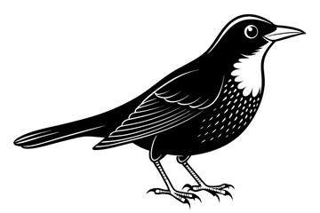 coloring page line art the blackbird black vector