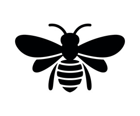 bee vector illustration on white background