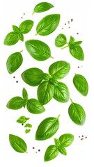 Fresh basil leaves and peppercorns