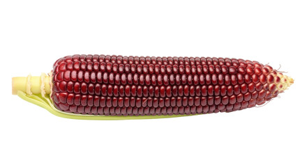 Isolated Purple Corn