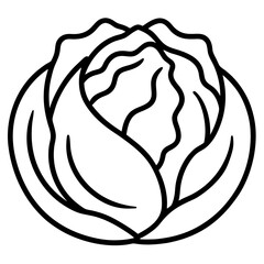 Detailed line art illustration of a fresh cabbage head with layered leaves isolated on white background