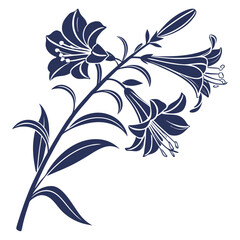 black and white xylobium pallidiflorum