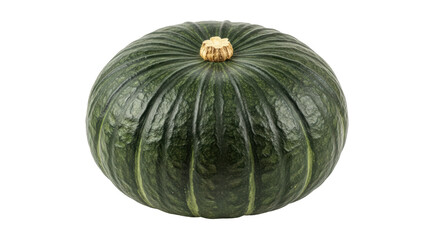 Isolated Green Kabocha Pumpkin