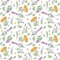 Seamless watercolor, herbal pattern PNG with lavender, tansy, green leaves, and wildflowers on white. Bright botanical design perfect for packaging, kitchen decor, fabric, and wrapping paper.