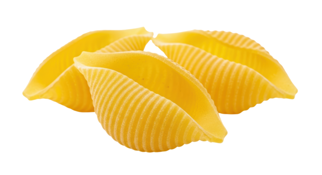 Isolated Conchiglie Pasta