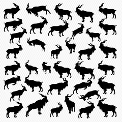 A collection of silhouette images depicting various poses of Markhor goats, showcasing their distinctive curved horns and strong builds.