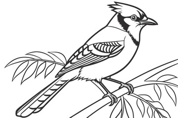 coloring page line art the jay bird black vector