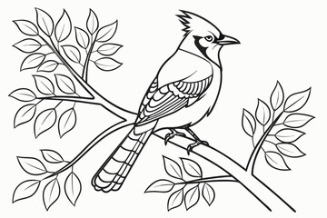 coloring page line art the jay bird black vector