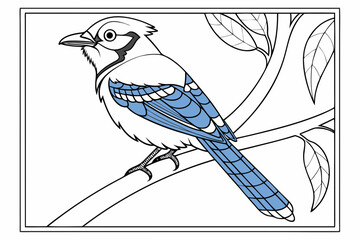 coloring page line art the jay bird black vector