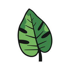 Monstera plant leaf, minimalist green illustration, tropical nature concept