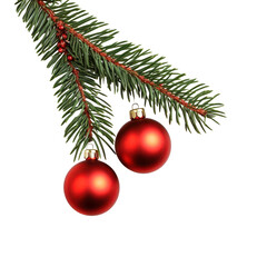 Fir tree branch with two red Christmas balls, Fir tree branch adorned with two shiny red Christmas ornaments, isolated on transparent background