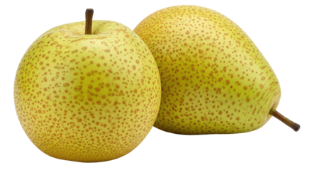 Isolated Two Asian Pears