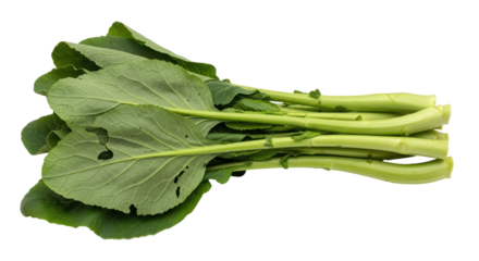 Isolated Chinese Broccoli (Gai Lan)