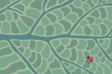 leaf pattern vector background with ladybug