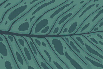 philodendron leaf texture vector wallpaper