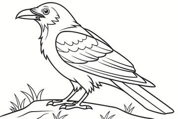 coloring page line art the magpie black vector